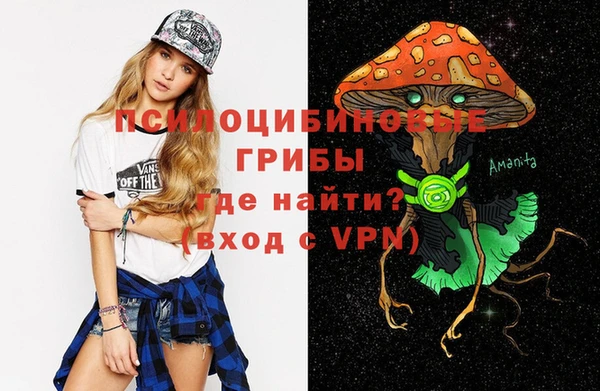 мет Армянск