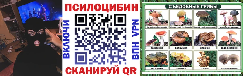 Галлюциногенные грибы ЛСД  KRAKEN ссылка  Салехард 